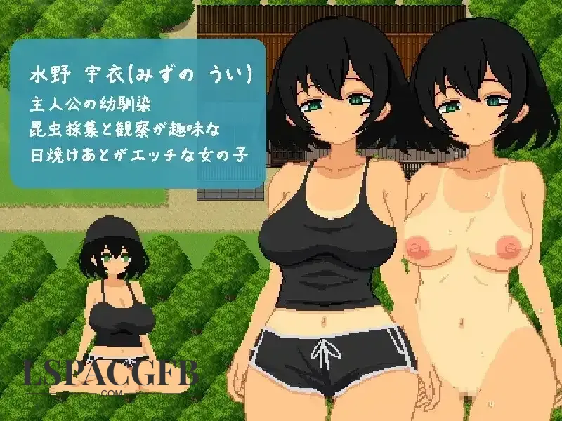 4.webp