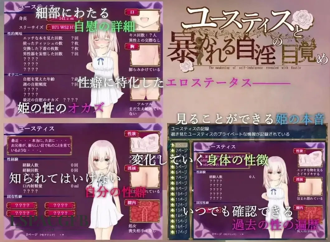 5.webp