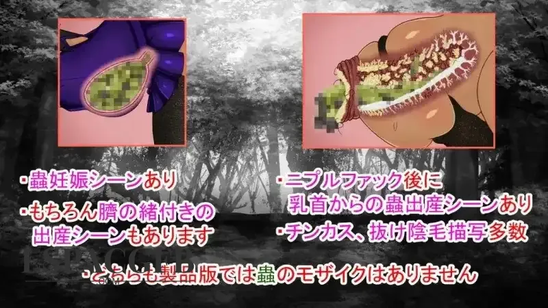 7.webp