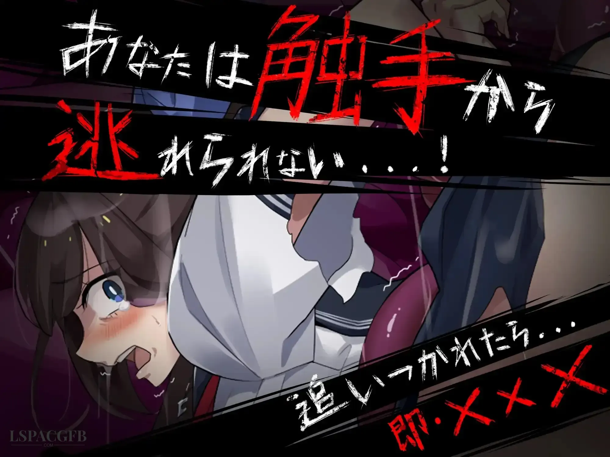 5.webp