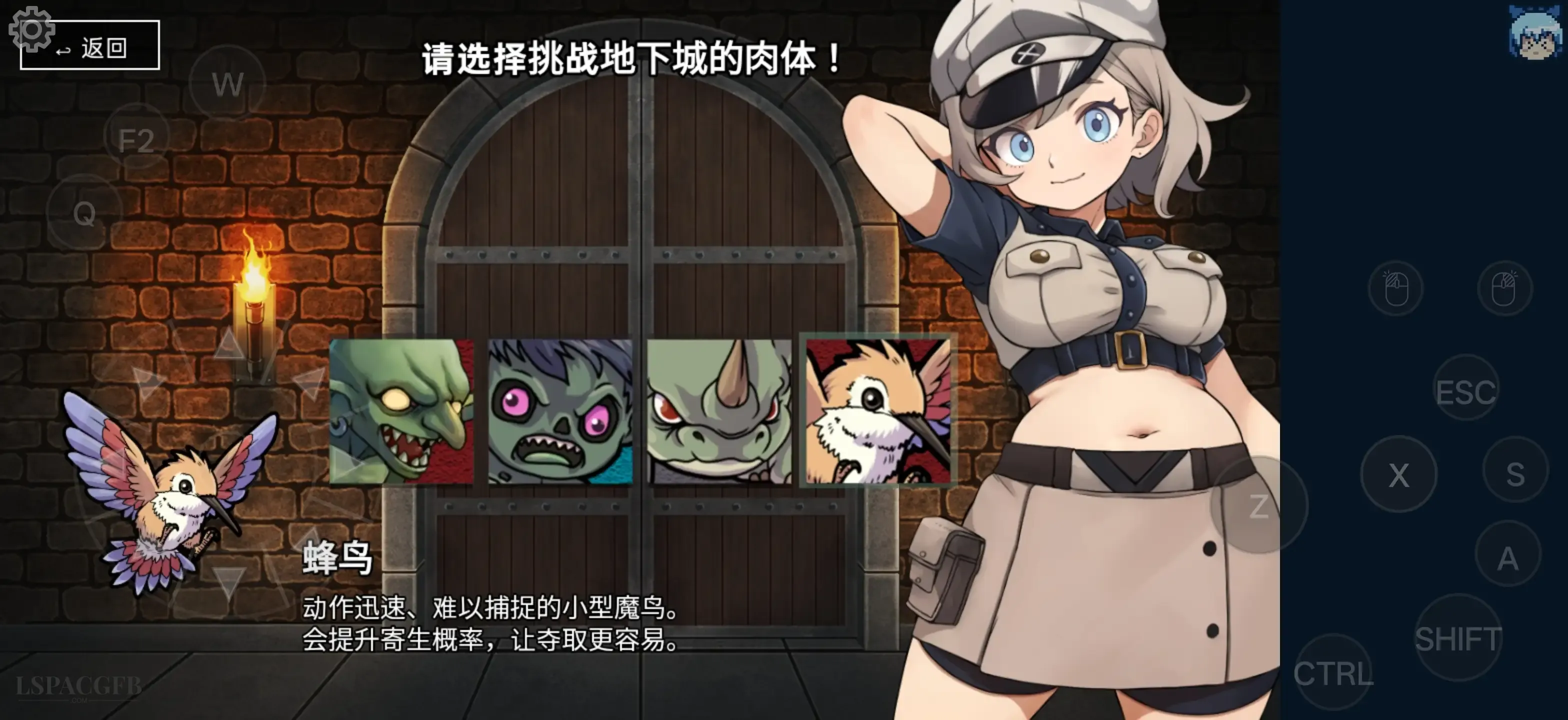 11.webp