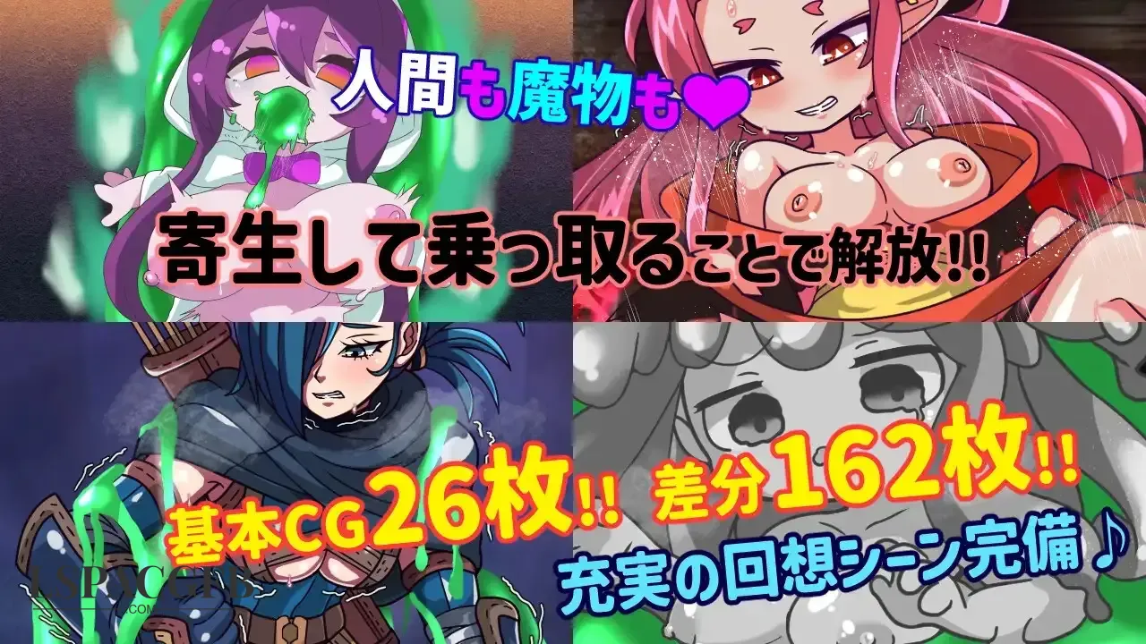 2.webp
