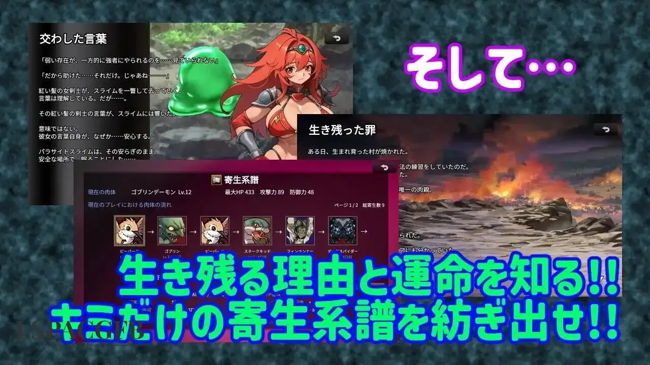 6.webp