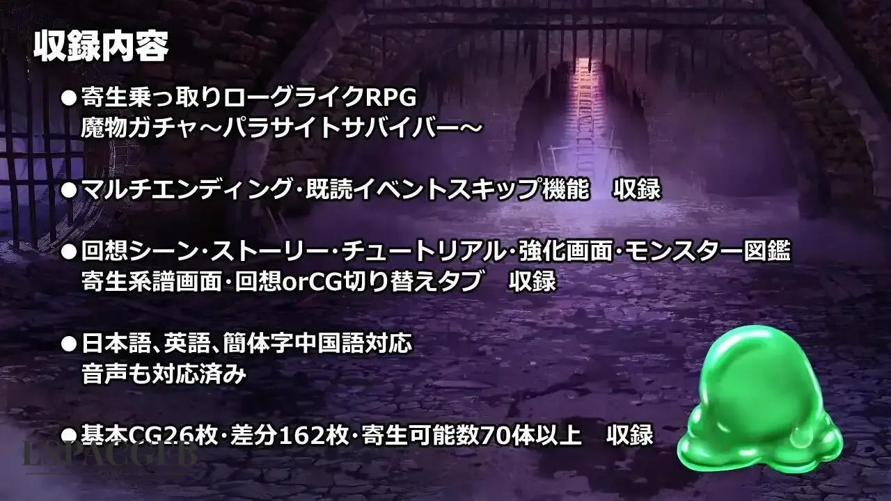7.webp