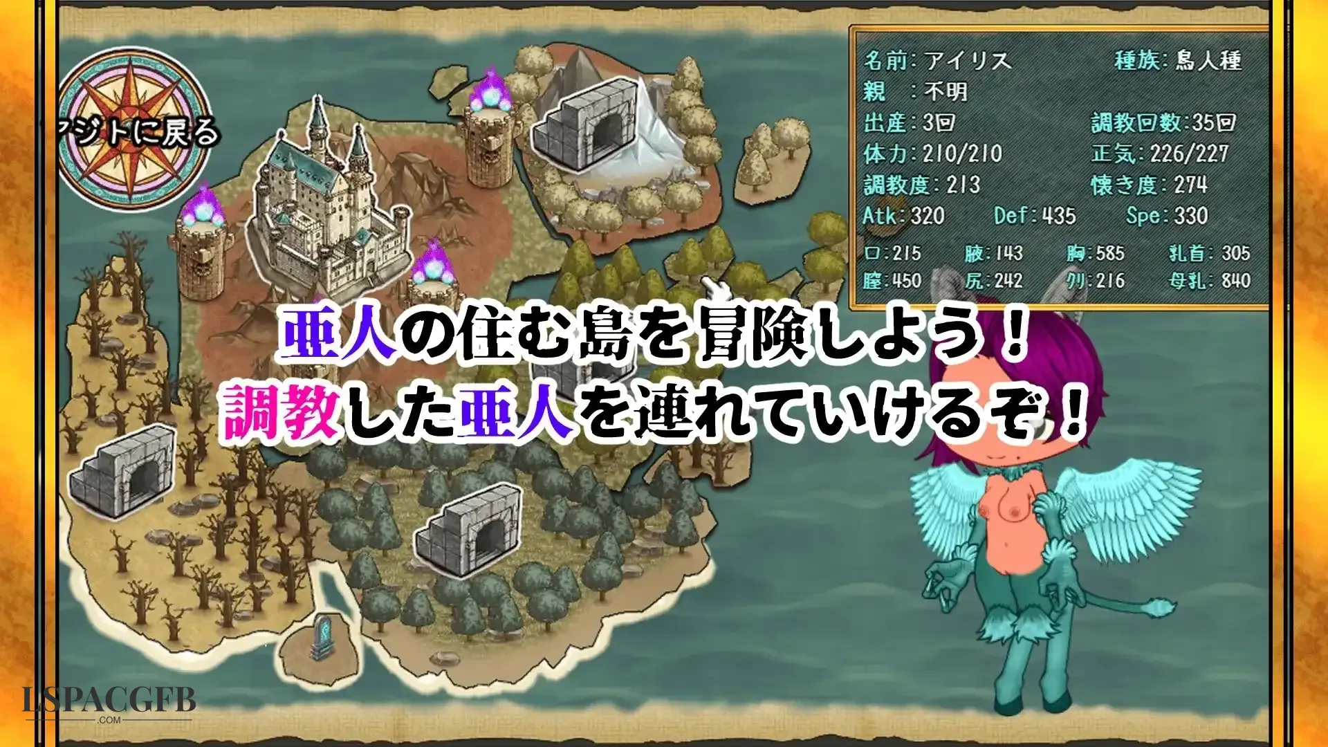 8.webp
