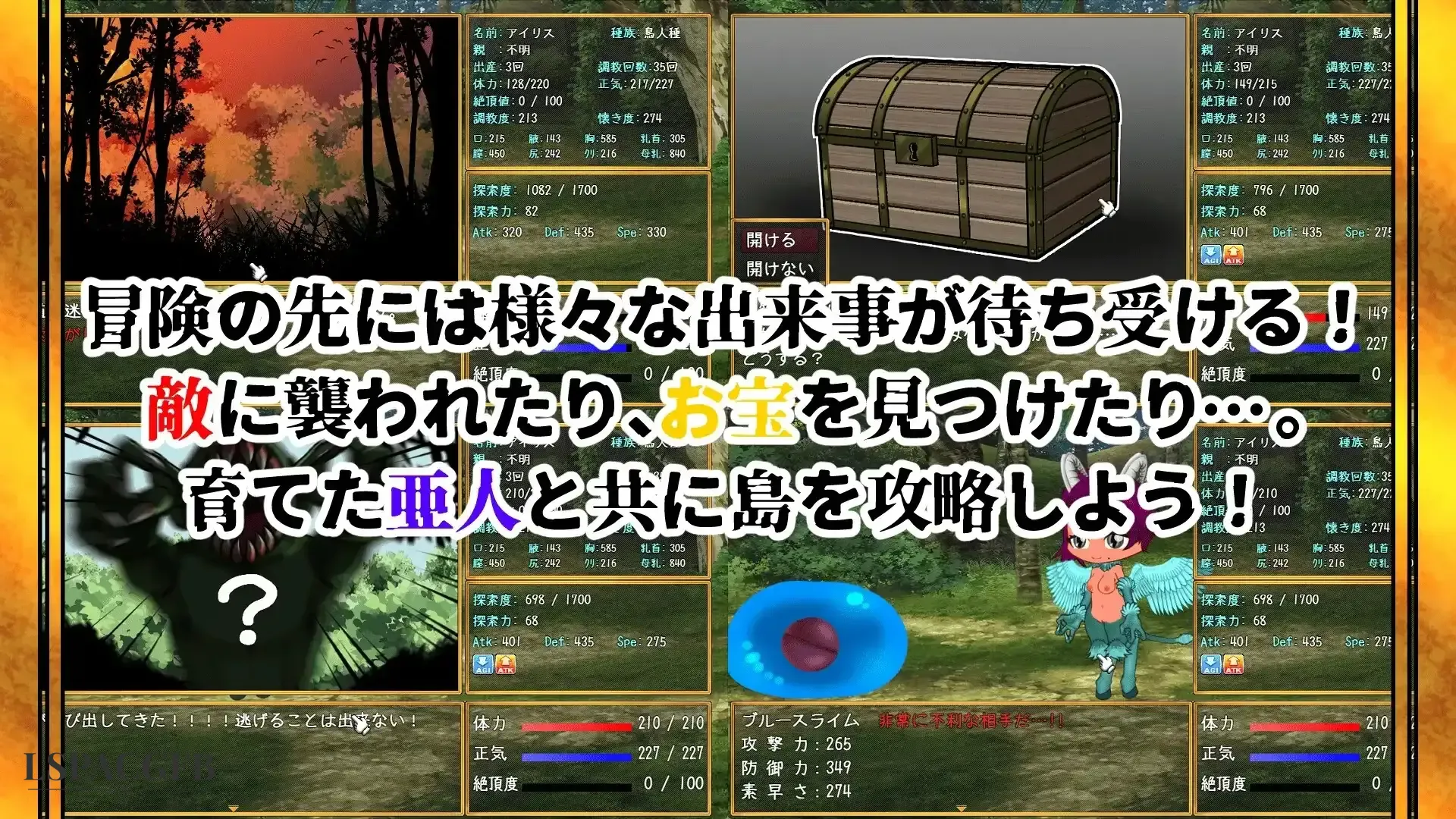 9.webp