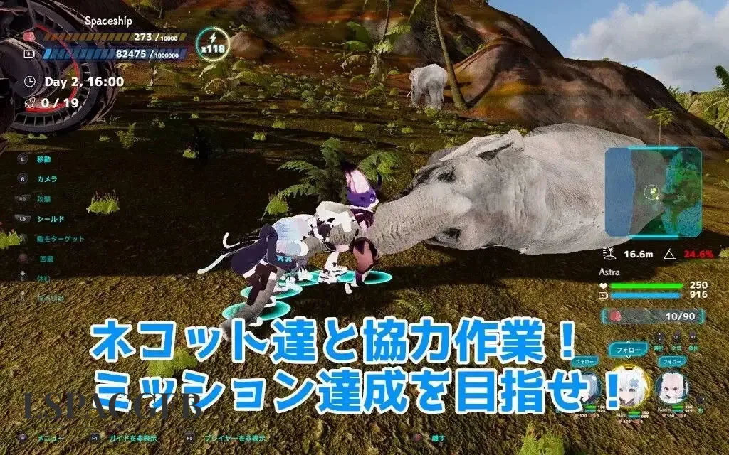 7.webp