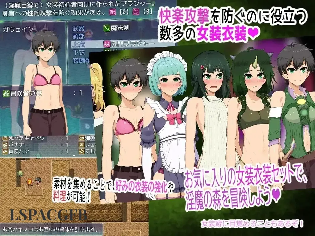 2.webp