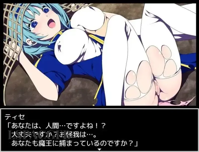 7.webp
