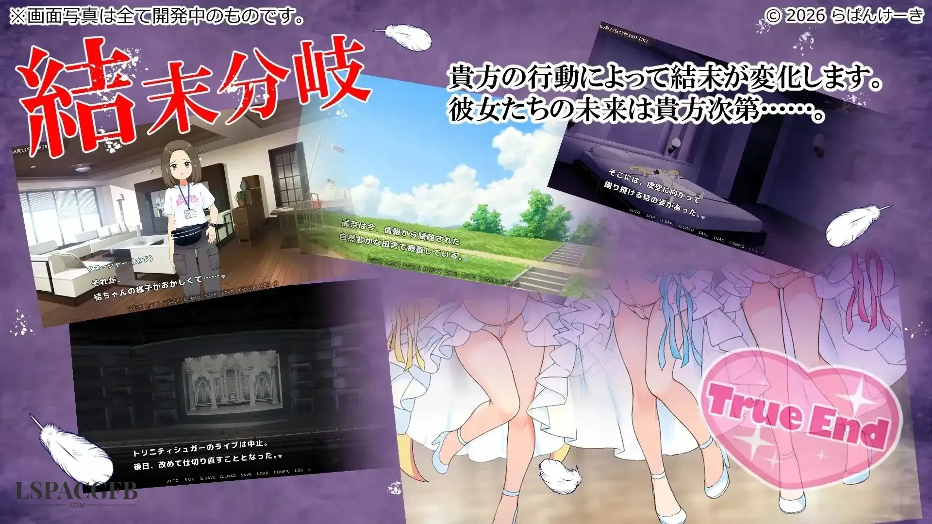 12.webp