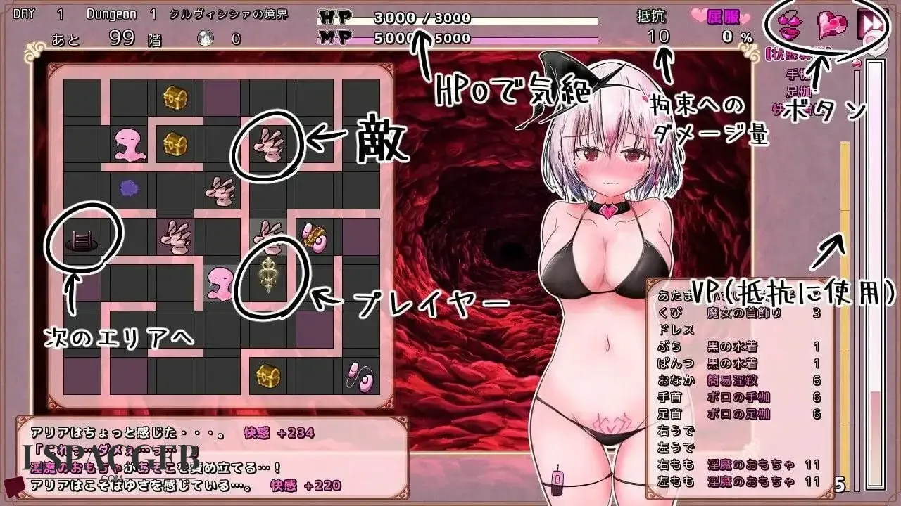 7.webp