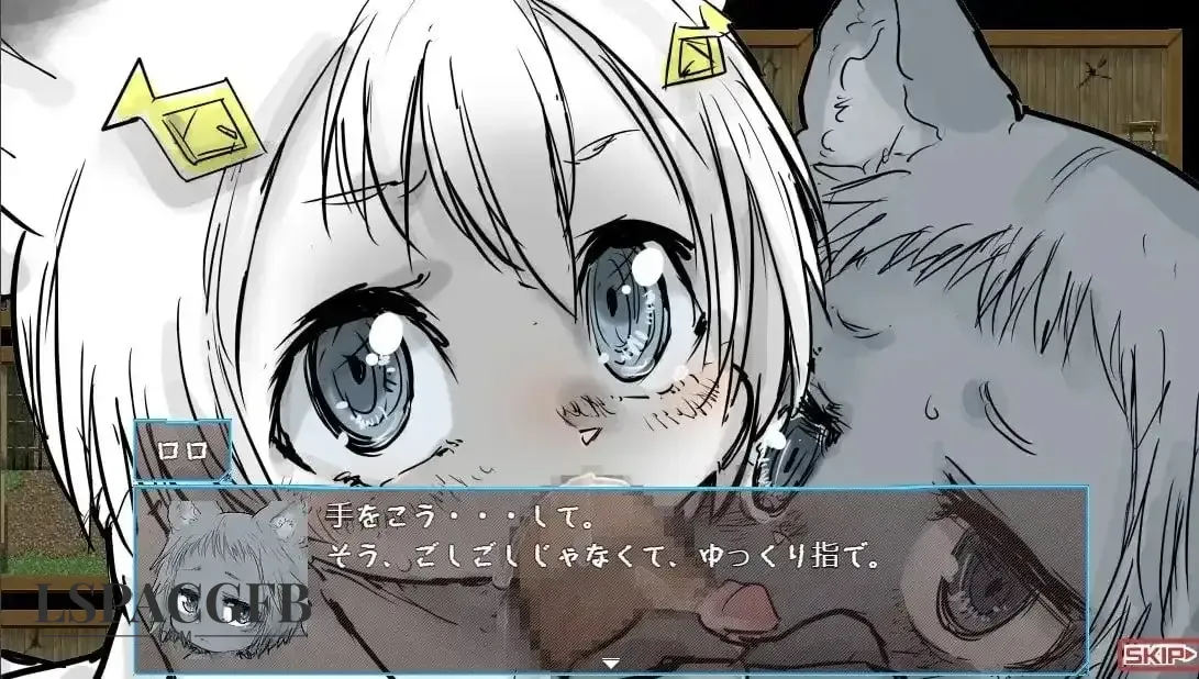 6.webp