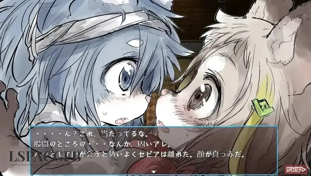 8.webp