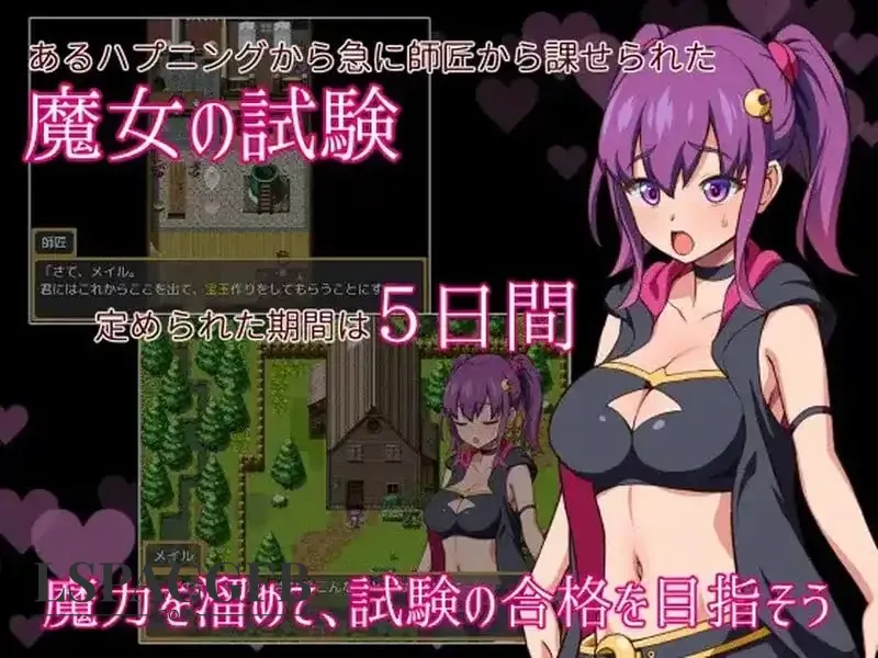 5.webp
