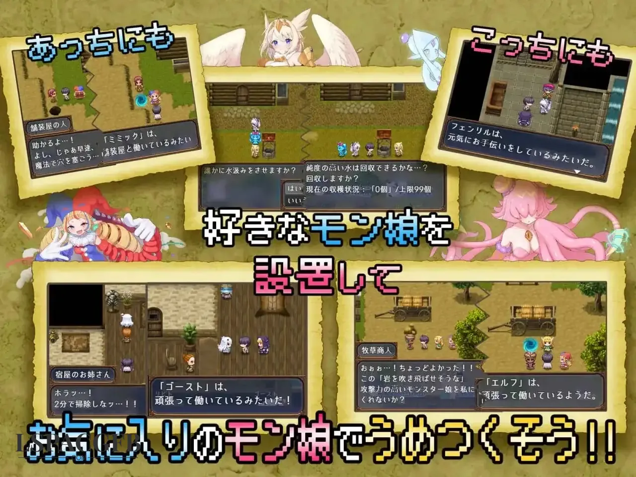14.webp