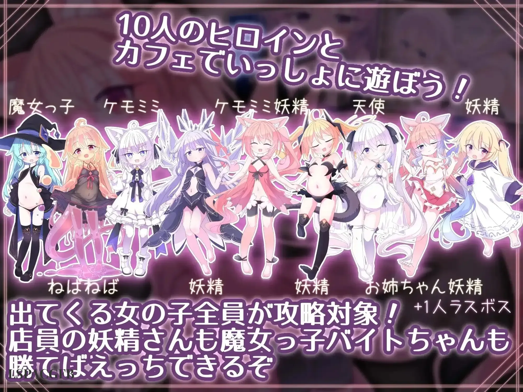 7.webp