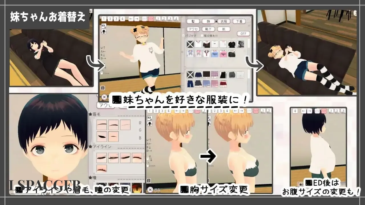 11.webp