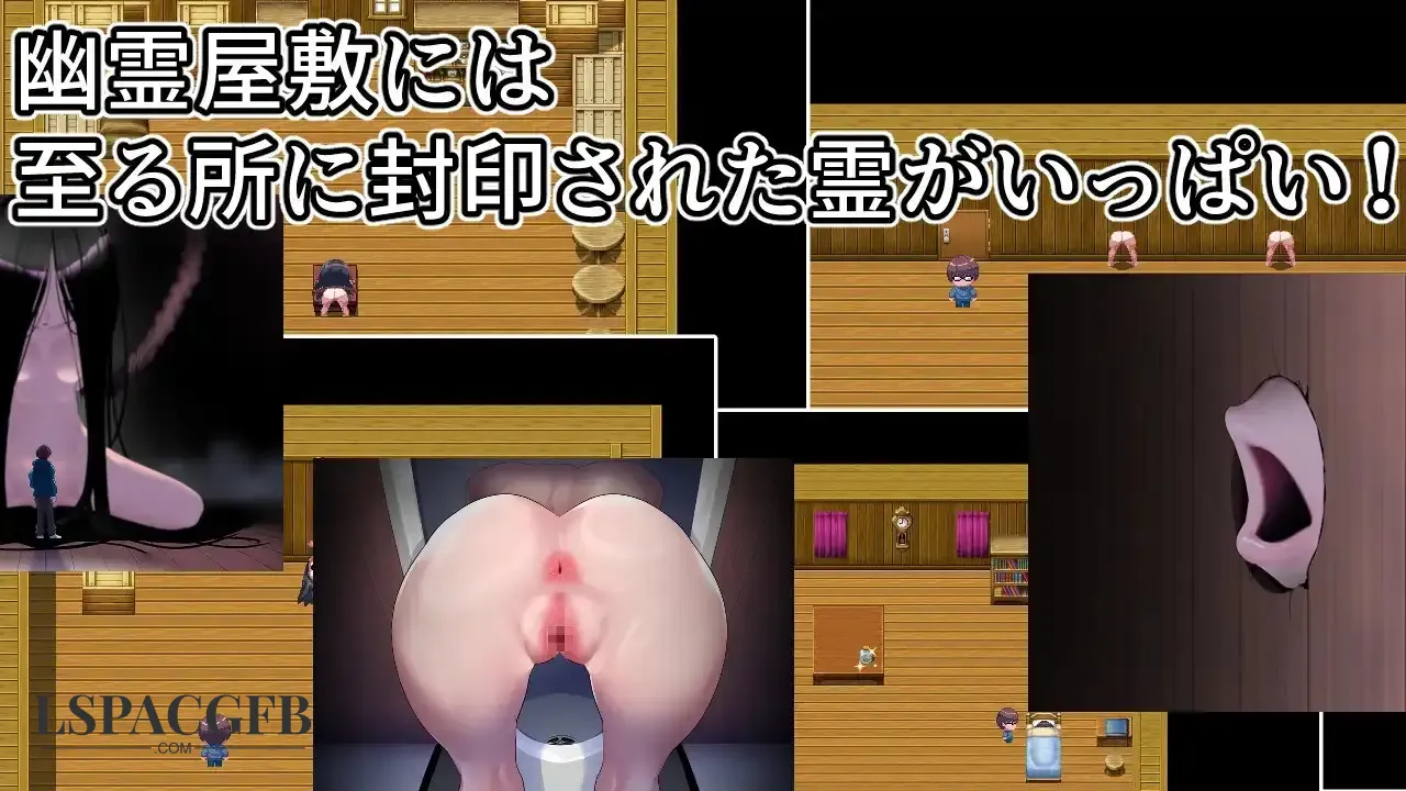 12.webp