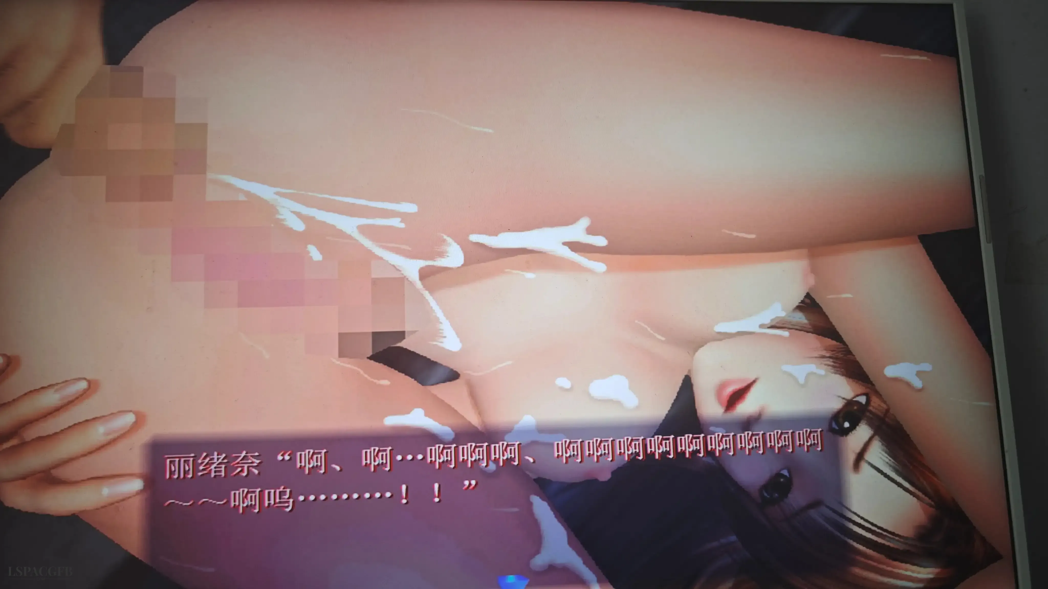 12.webp