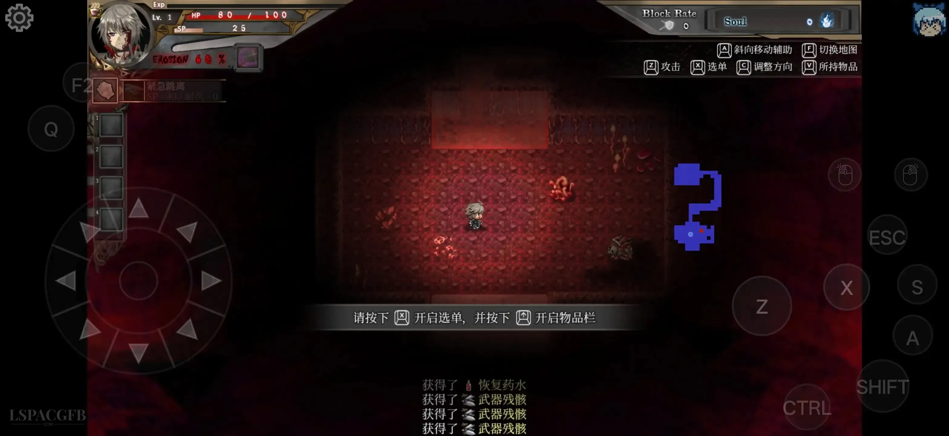 14.webp