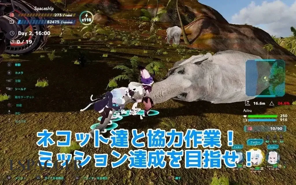 8.webp