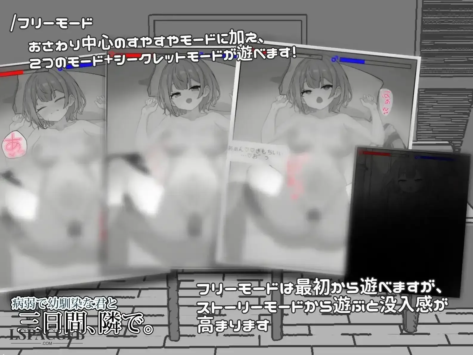 8.webp