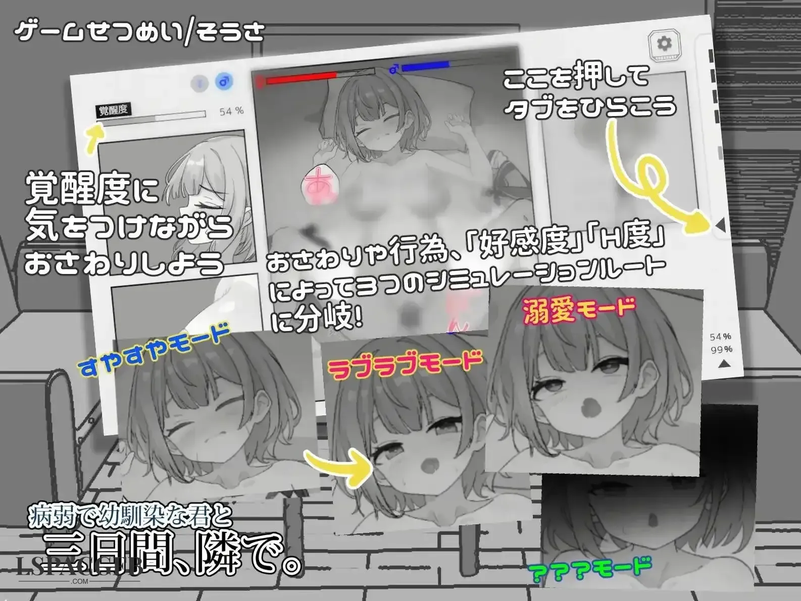 9.webp