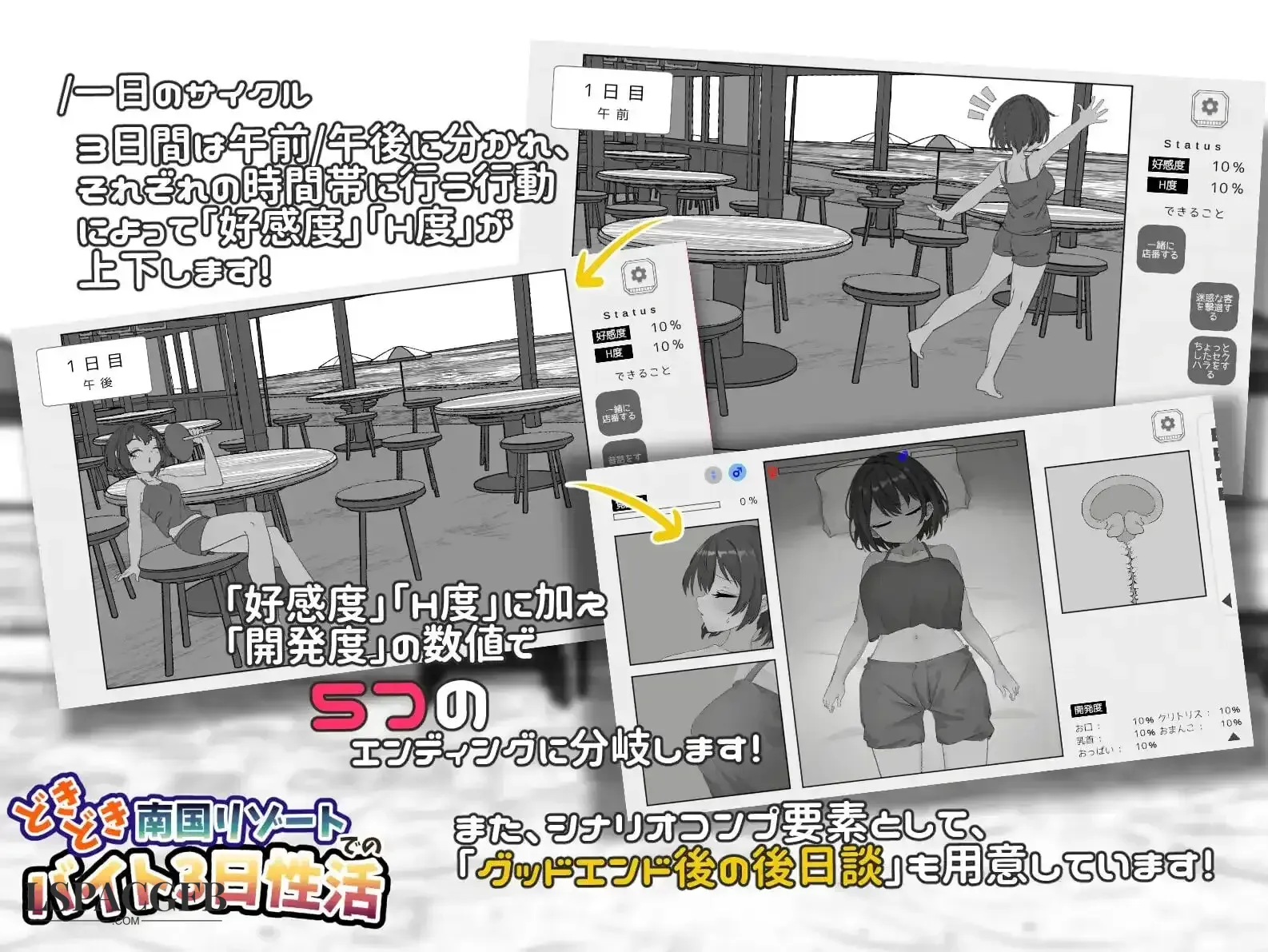 3.webp