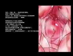 11.webp
