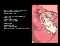 12.webp