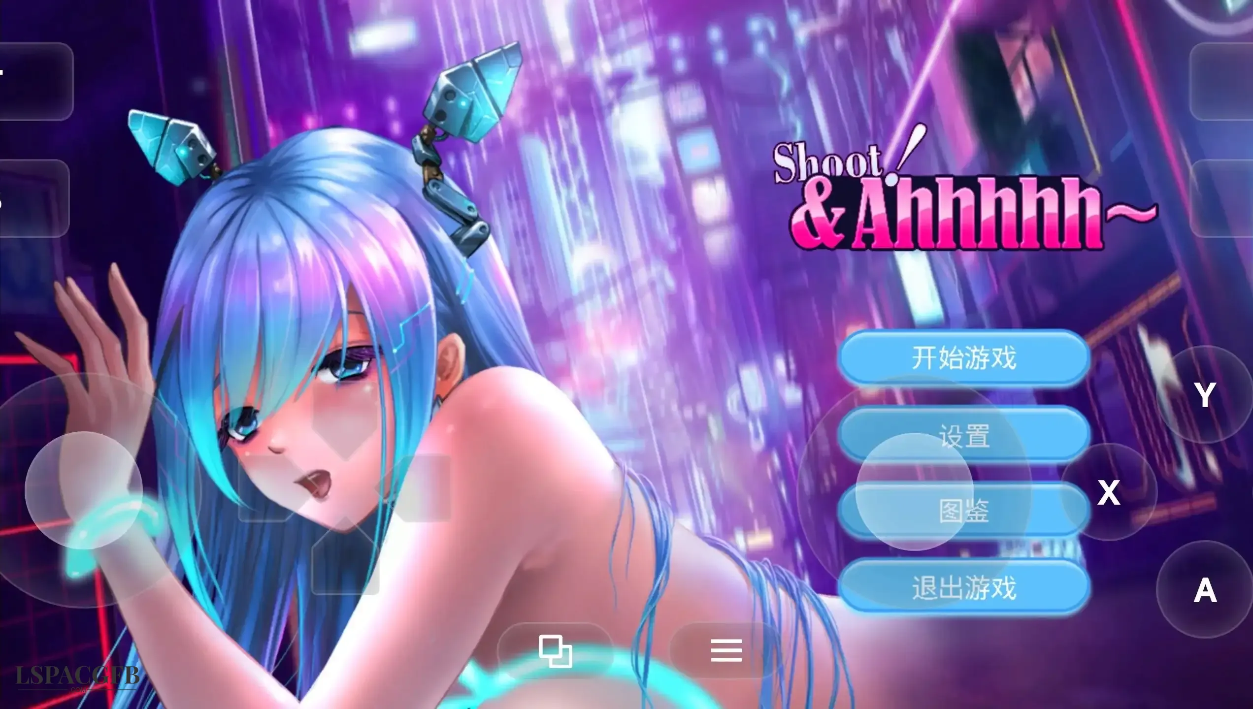 5.webp