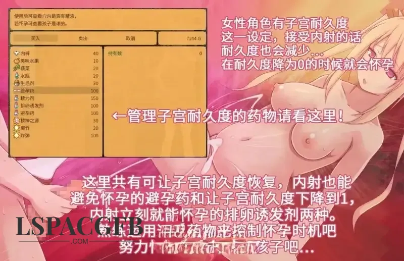 2.webp
