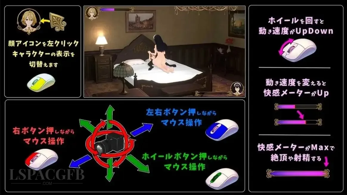 7.webp