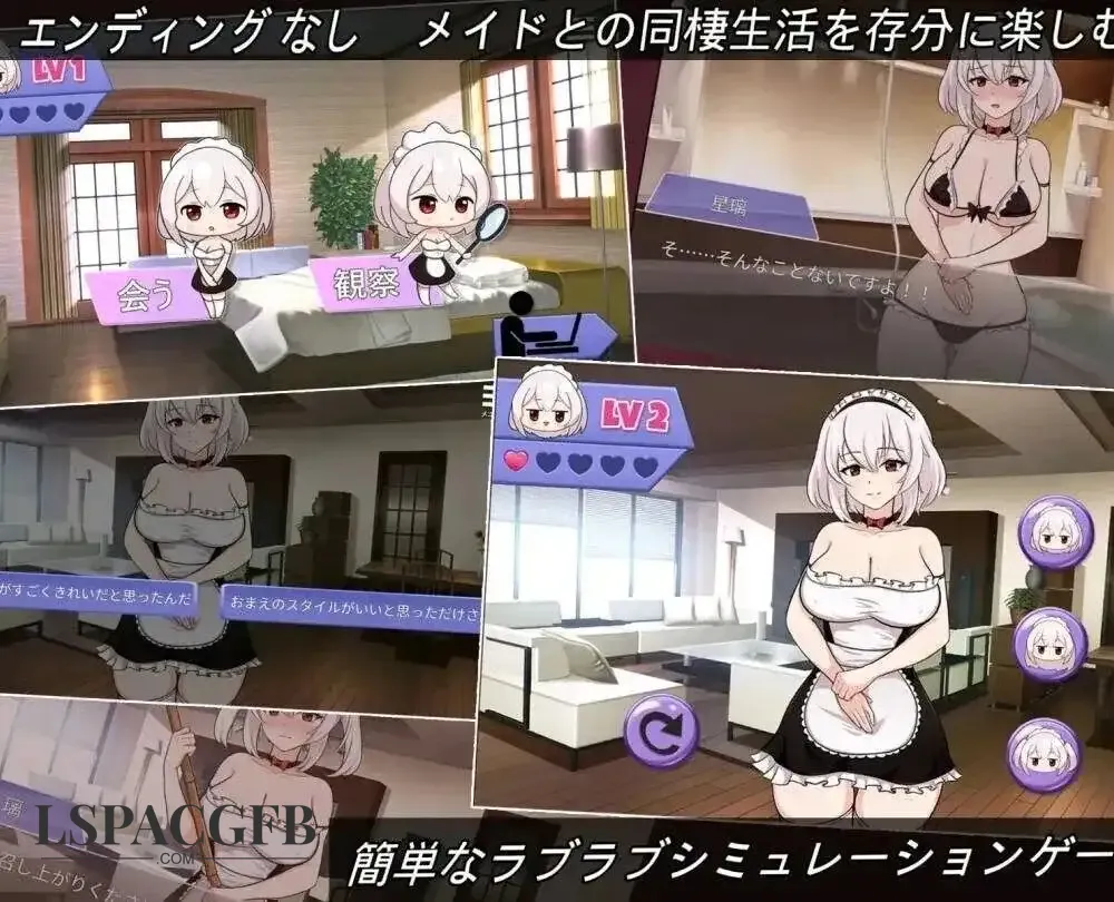 9.webp