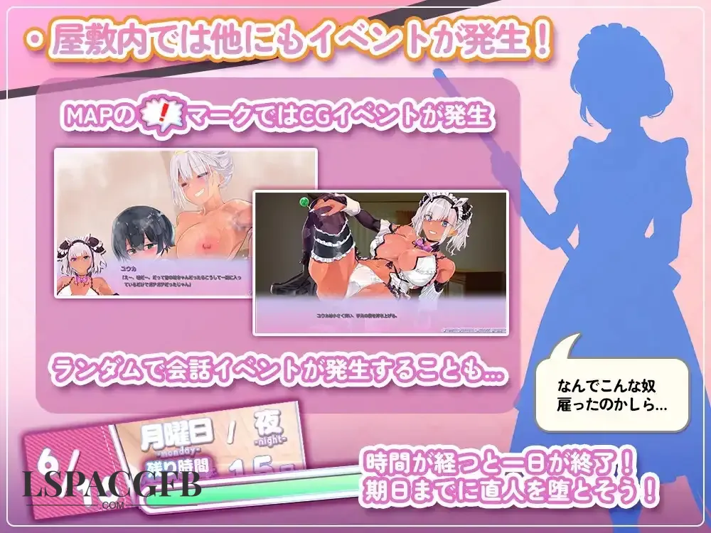 11.webp