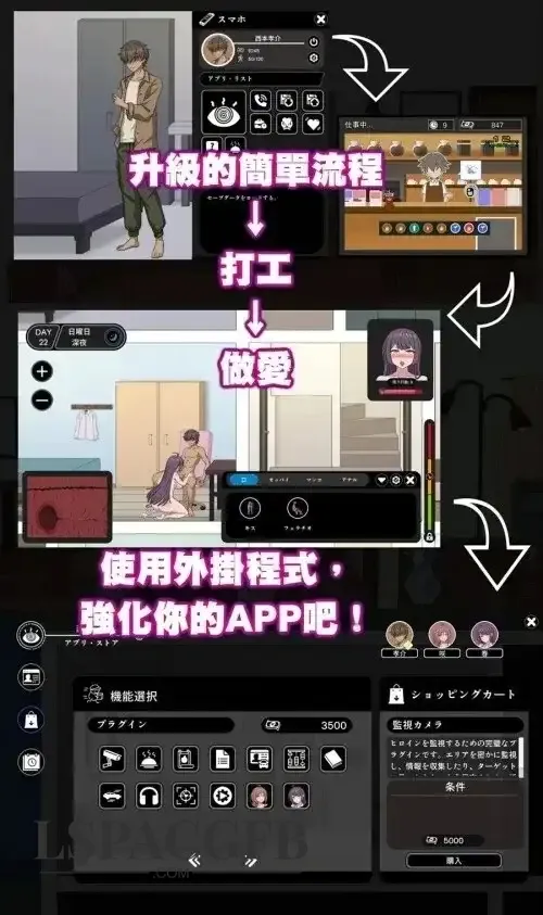 7.webp