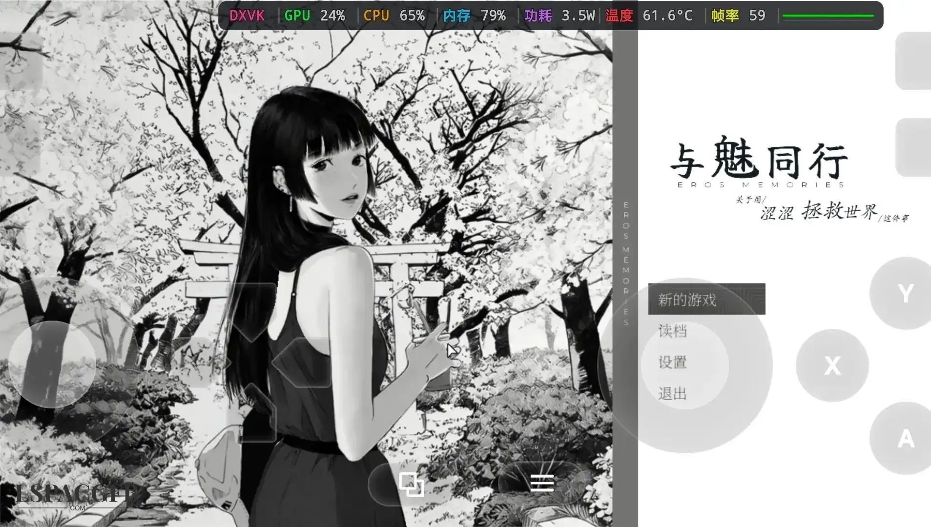 11.webp