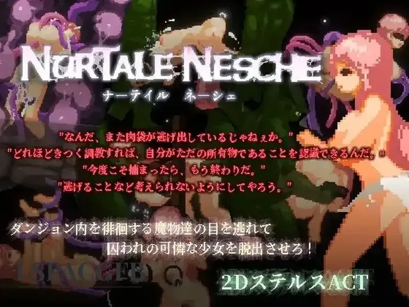 11.webp