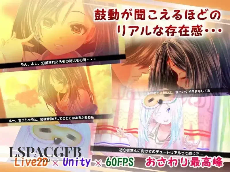 5.webp
