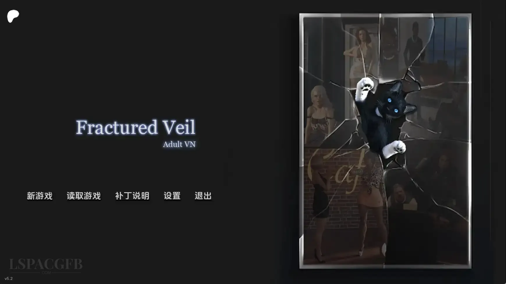 5.webp