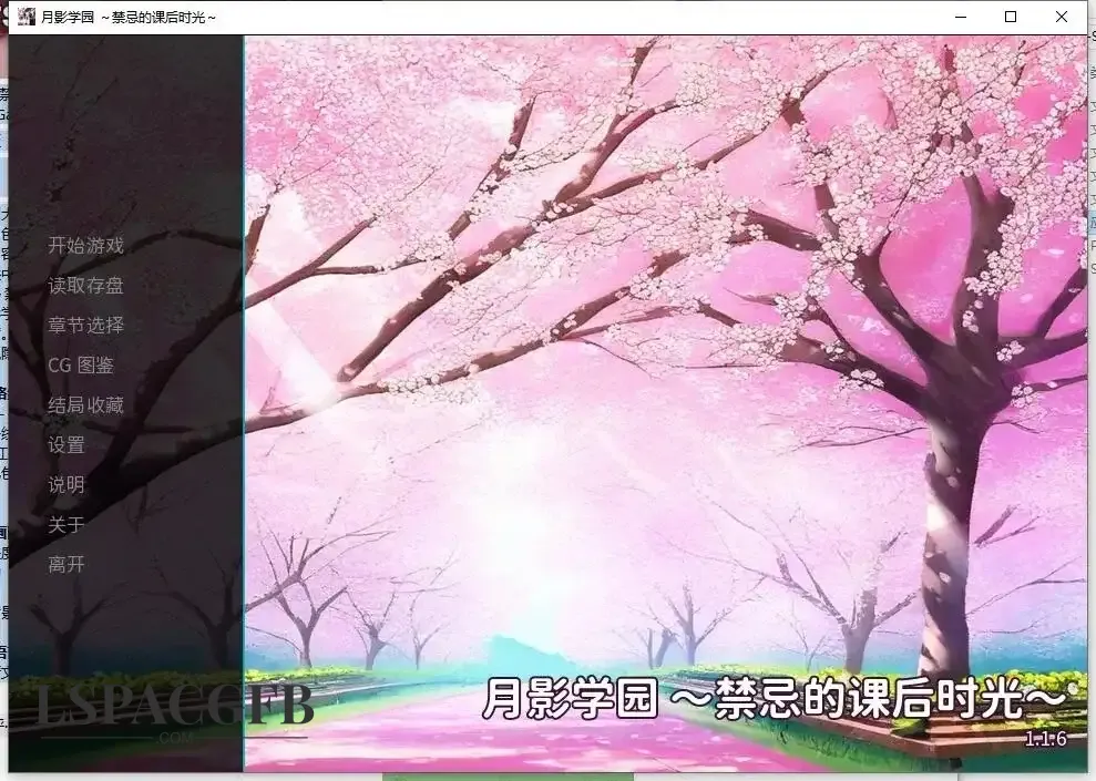 11.webp
