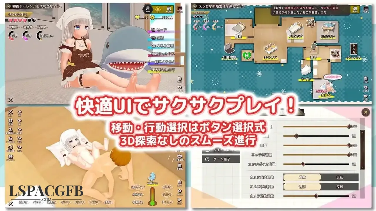 5.webp