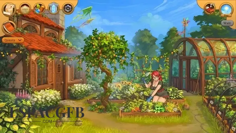 11.webp