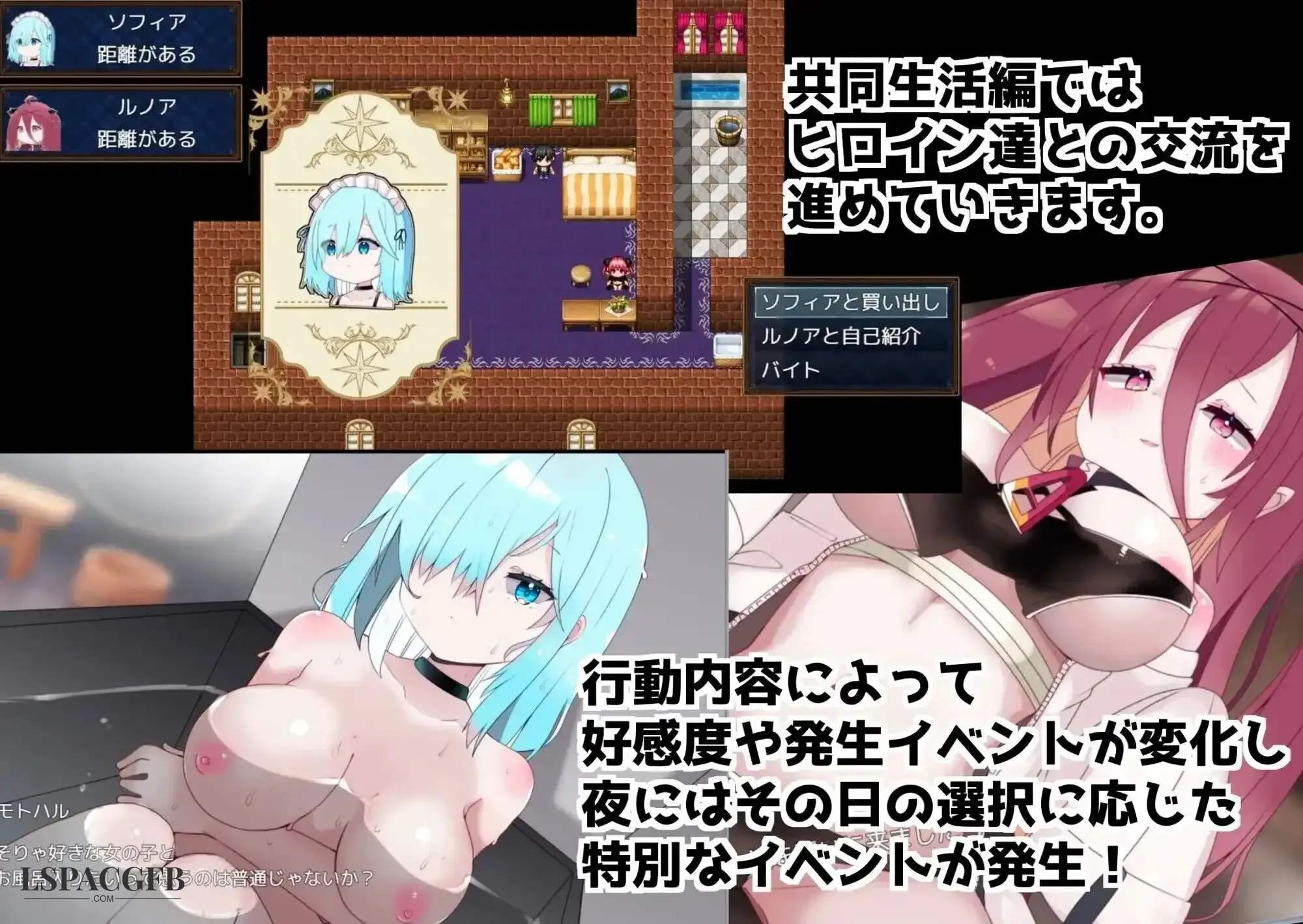 7.webp