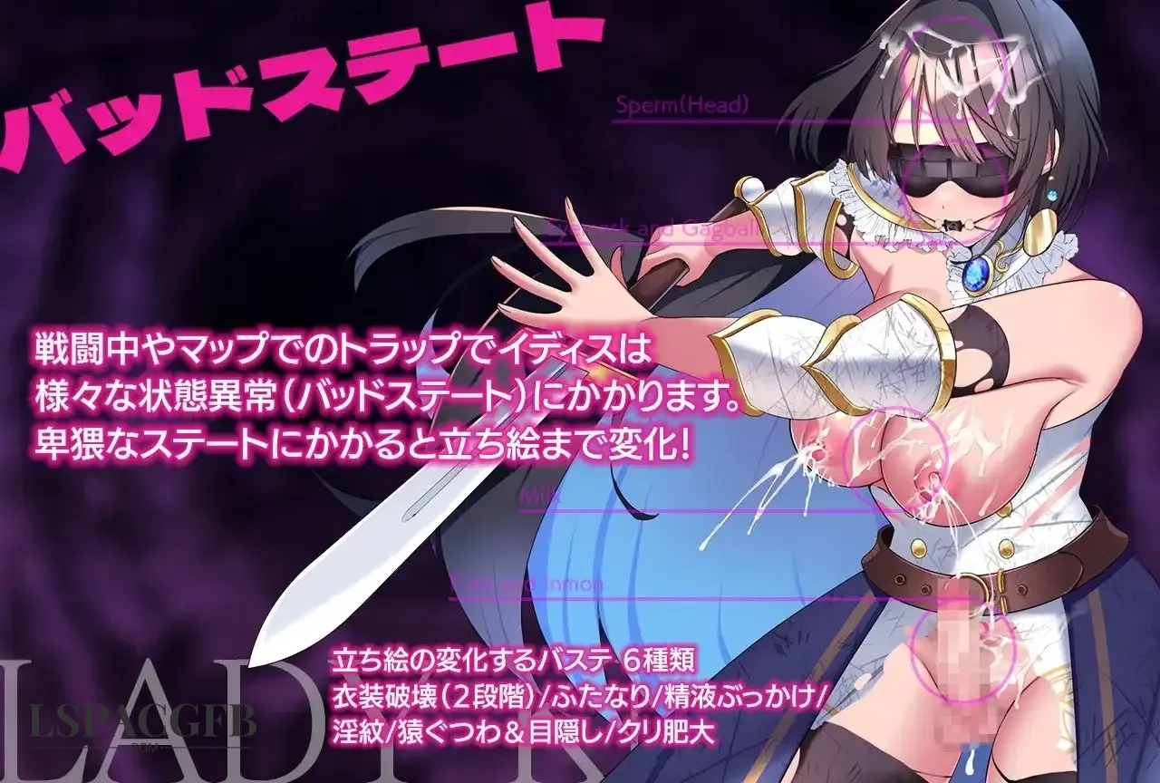 11.webp