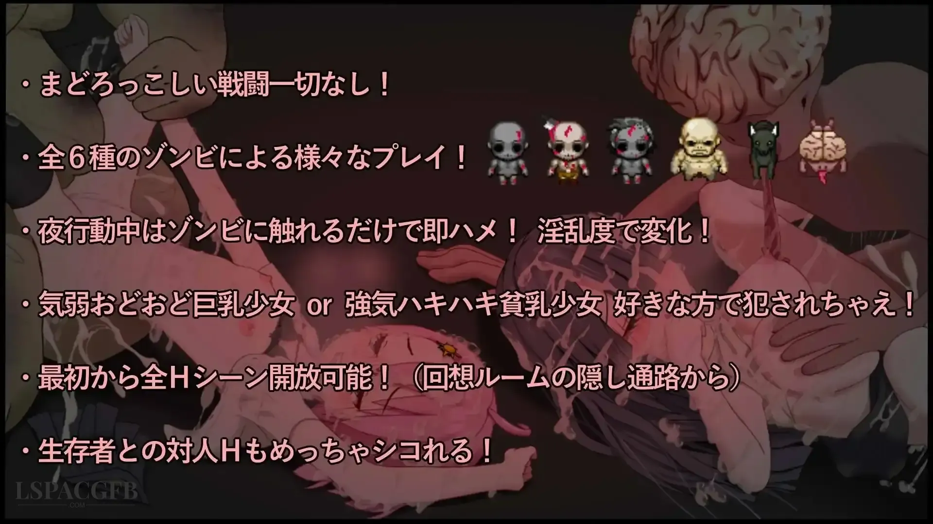 11.webp
