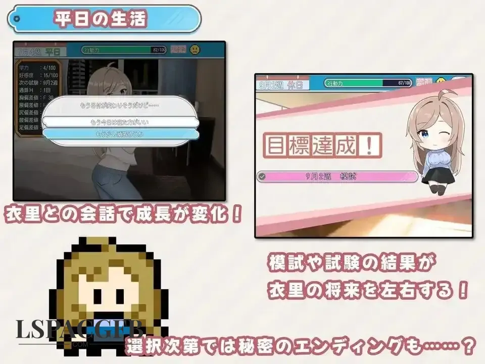 7.webp