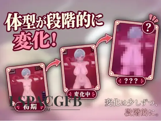 8.webp