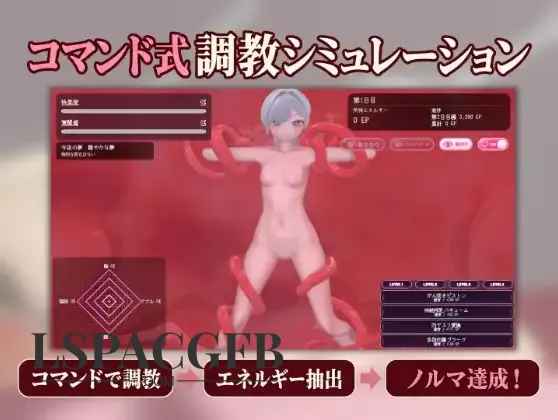9.webp