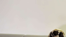 推特_#魔法少女瓦尔基里_顶级颜值身材福利姬_[24P+20V-4.01GB]